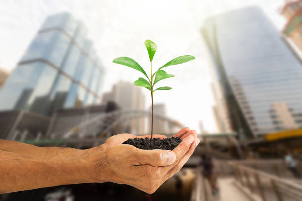 Hands holding green sprout on blurred city background, environmental concept